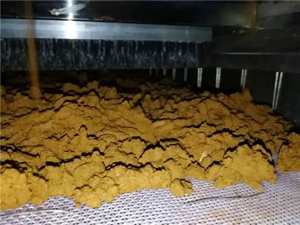 污泥脫水設(shè)備預處理高含水率污泥